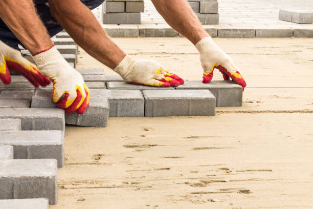 Best Driveway Pavers Near Me  in Spring Lake Park, MN