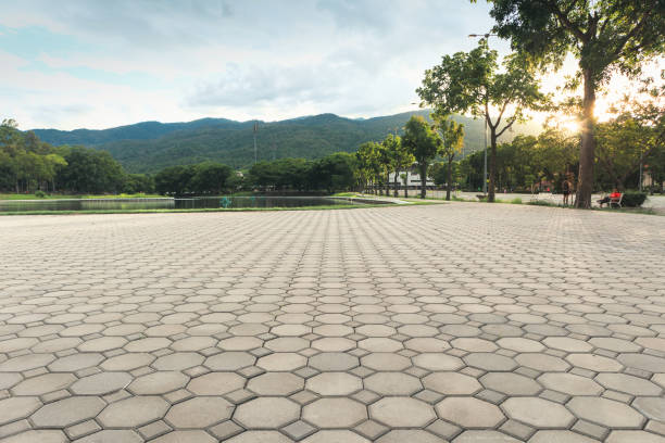 Best Driveway Pavers Near Me  in Spring Lake Park, MN